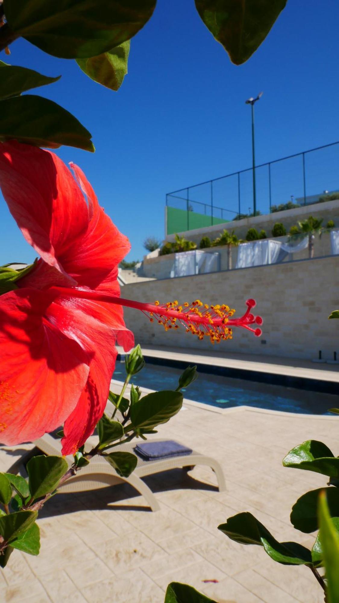Amour Relax Hotel Almirida Exterior foto